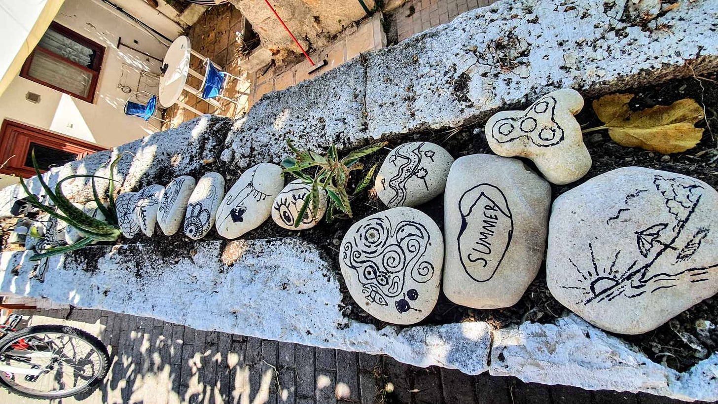 Image of some cacti with some rocks with sketches around them