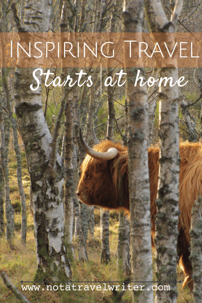 Inspiring travel starts at home. The image features this text, on top of a photo of a Highland cow in a birch forest in Scotland. 