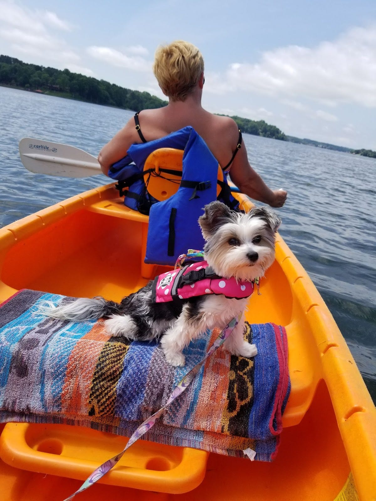 Dog and woman in canoe