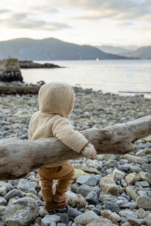 Free Side view of unrecognizable little kid in warm coat leaning on log and admiring calm water while standing on stony coast in overcast day in autumn Stock Photo