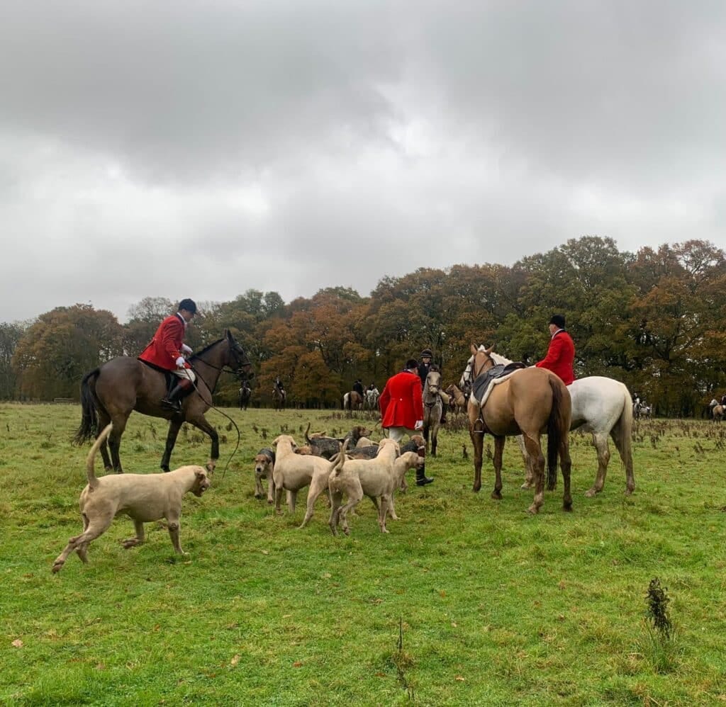 The Crawley and Horsham Hunt at Knepp, November 2023