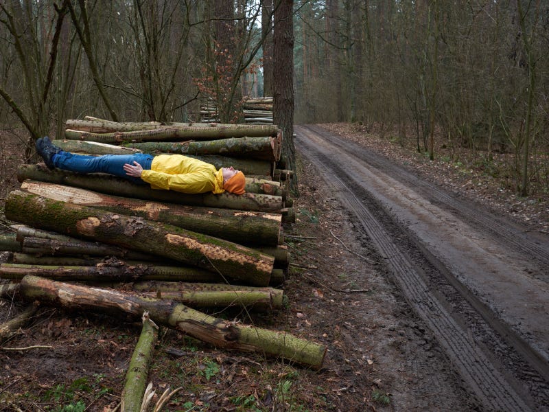 Photo by Akiromaru on Getty Images - it's of a man lying on a stack of logs, as if he doesn't know if he's a man or a log.