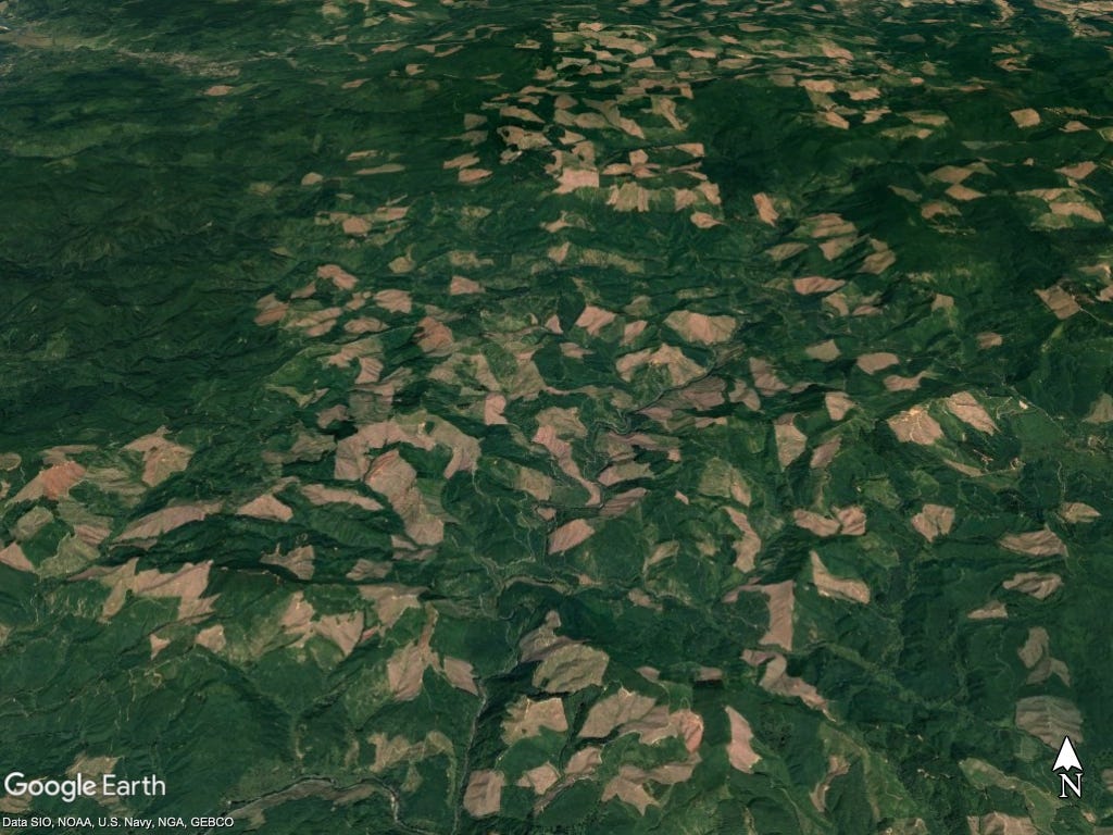 A bird's-eye view of Oregon's clear-cuts | Street Roots A bird's-eye view of Oregon's clear-cuts | Street Roots