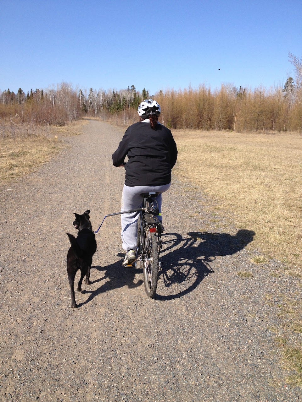Woman riding a bicycle with a dog attached by a seat-post leash attachment.