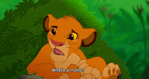 gif of the motto scene from the lion king timon and simba
