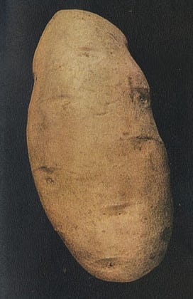 Russet potato