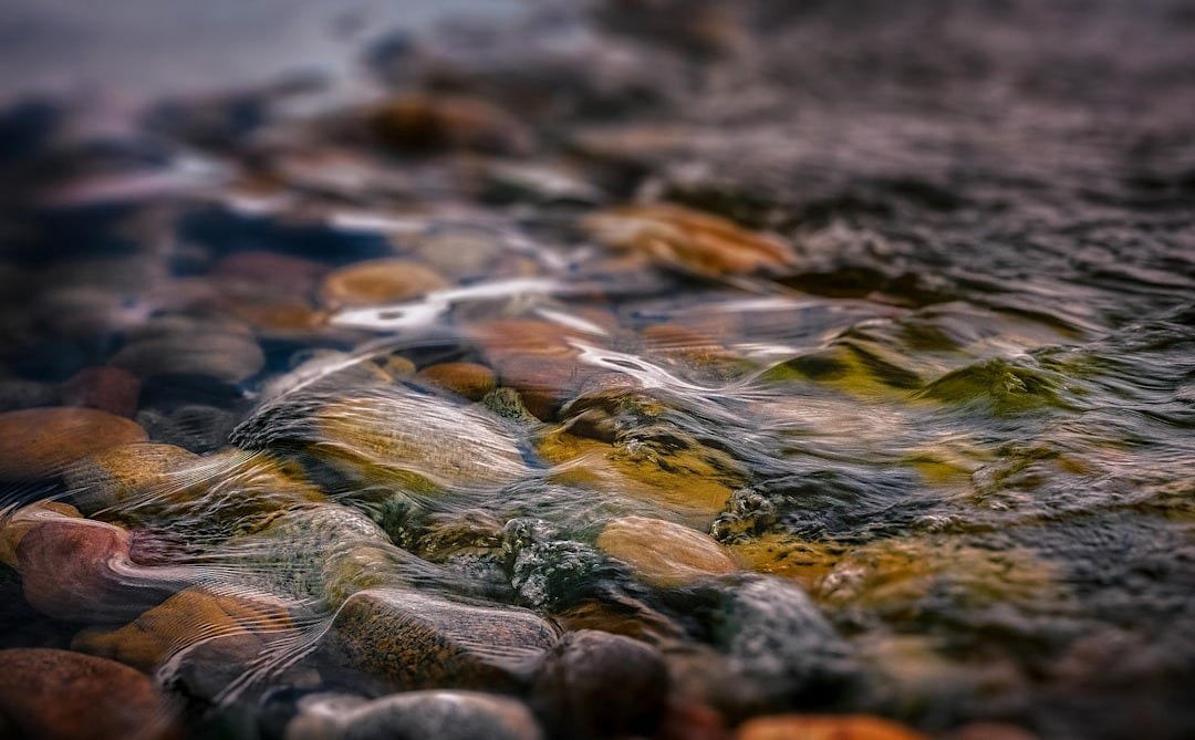 macro photography of water and stones macro photography of water and stones