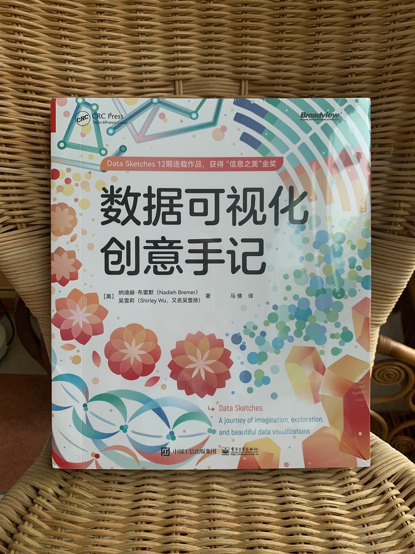 A photo of our Data Sketches book in Chinese.