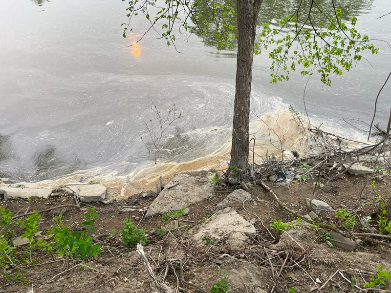 File:PFAS foam on river with tree.png