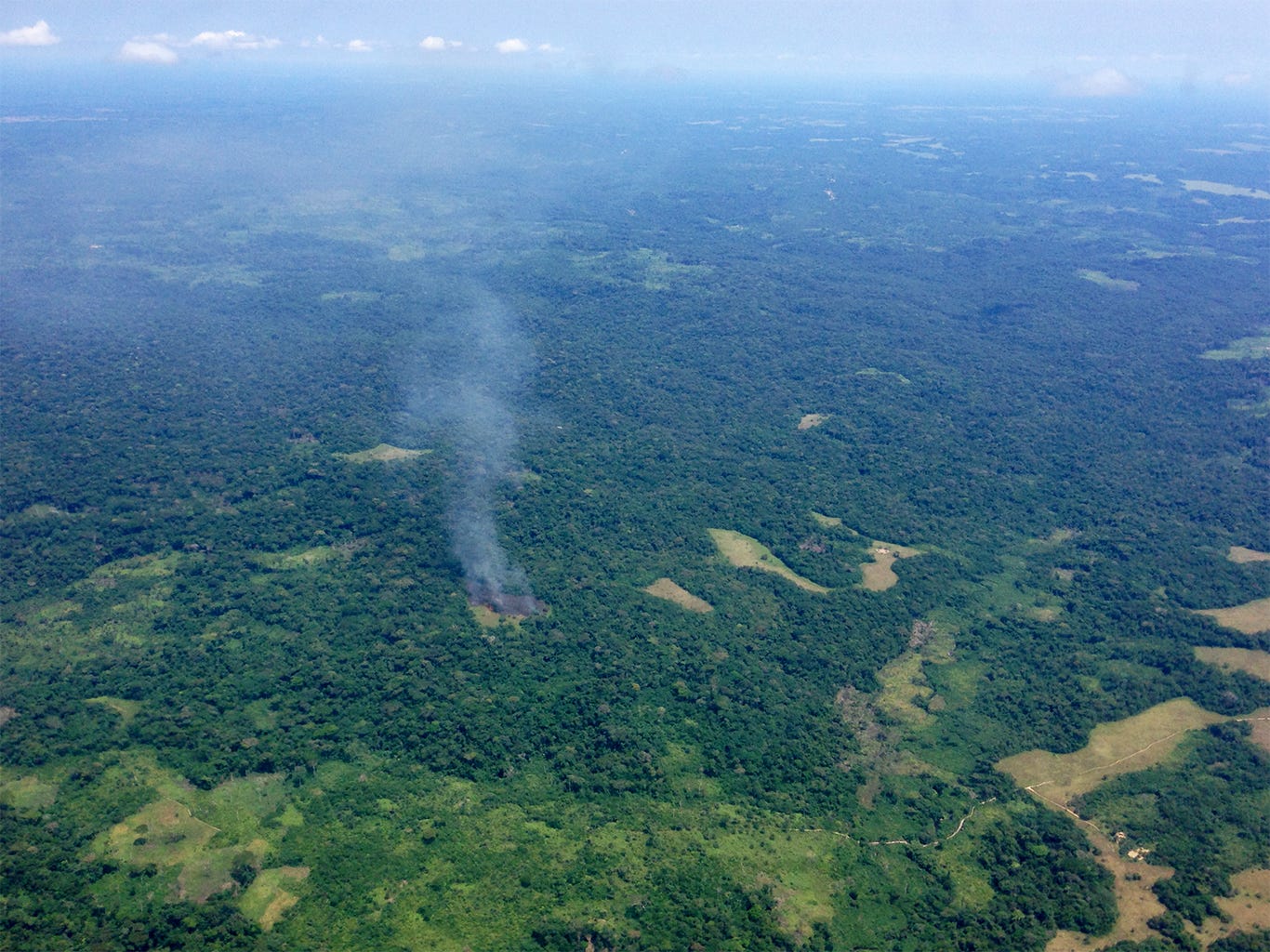 Land clearance with fire in the Congo Basin. 