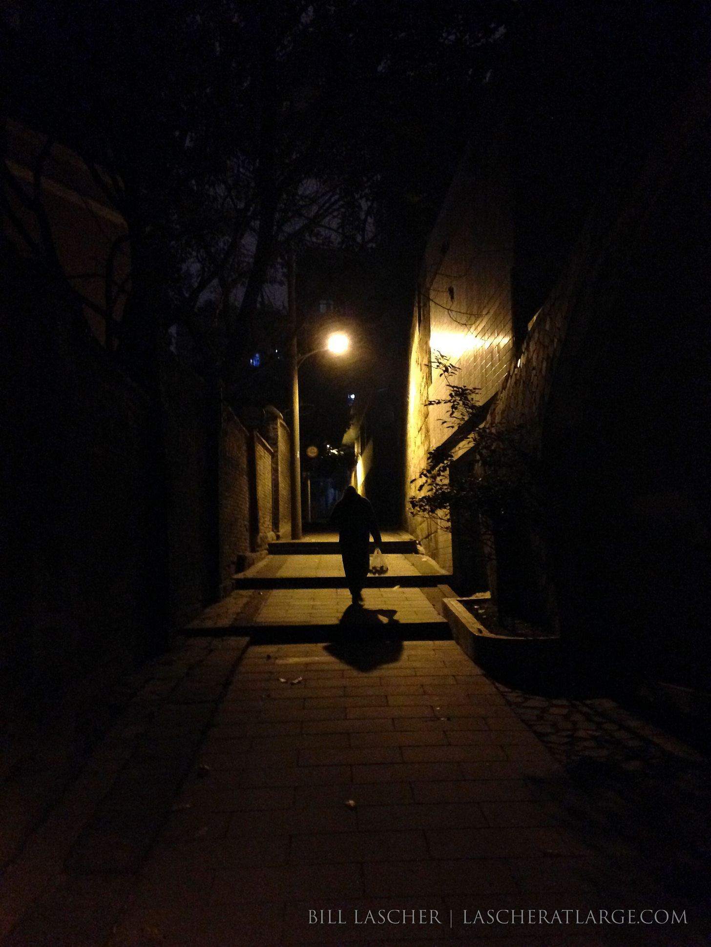 A lone streetlamp illuminates the pavement and walls of an alleyway in Chongqing China. A figure at the center walks in silhouette up one of three low stone steps on the ground. The person carries a bag of what appears to be fruit in one hand, and the person's shadow trails behind at the center of the image, which fades to black on all sides just beyond the figure.