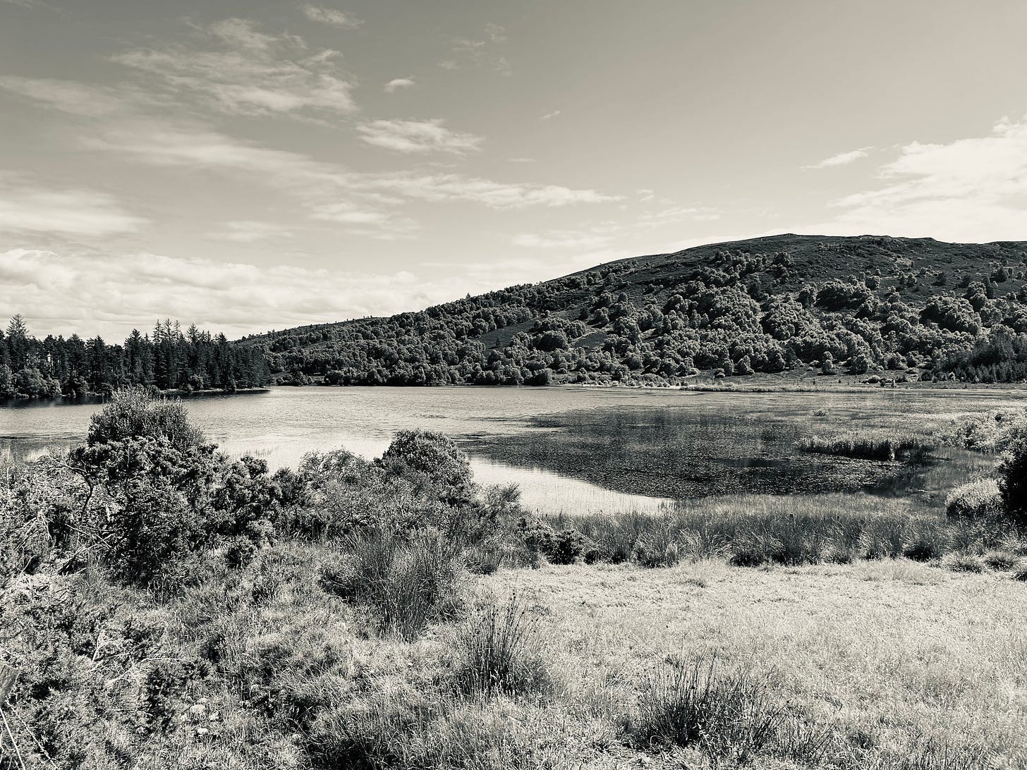 A black and white photo of a loch. Behind the water is a hill with bushes climbing up it. In the foreground is dry grass and reeds. The water looks shallow.