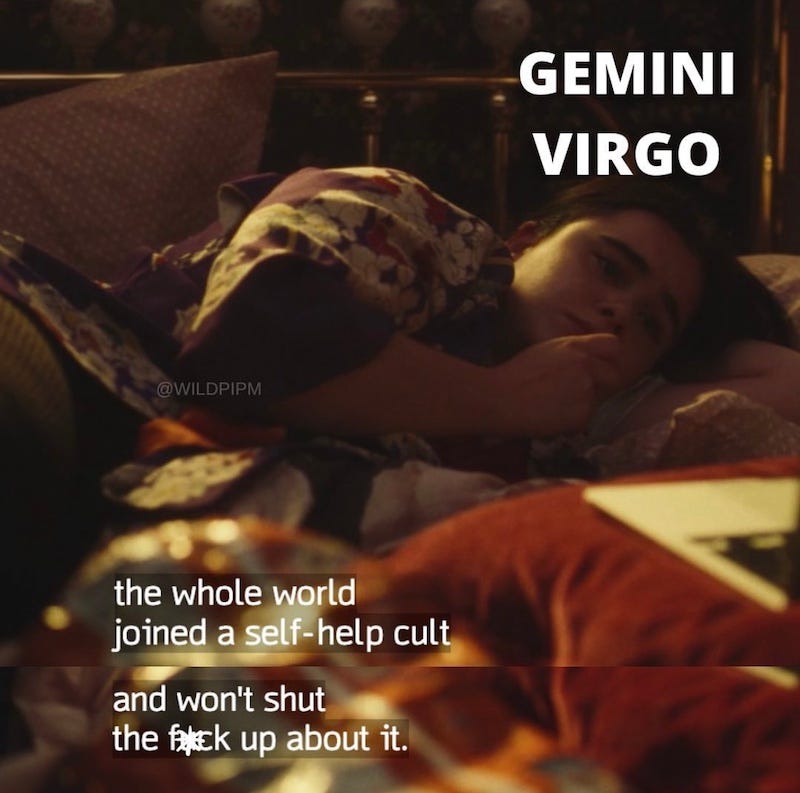 Text on image of person laying in bed. Text reads: Gemini Virgo. The whole world joined a self-help cult and won't shut the f*ck up about it.