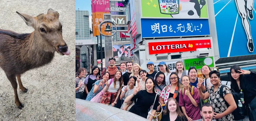 2 photos. One of the left is of a deer with its tongue sticking out and on the right is a group of Japan travelers on a bridge in Osaka.