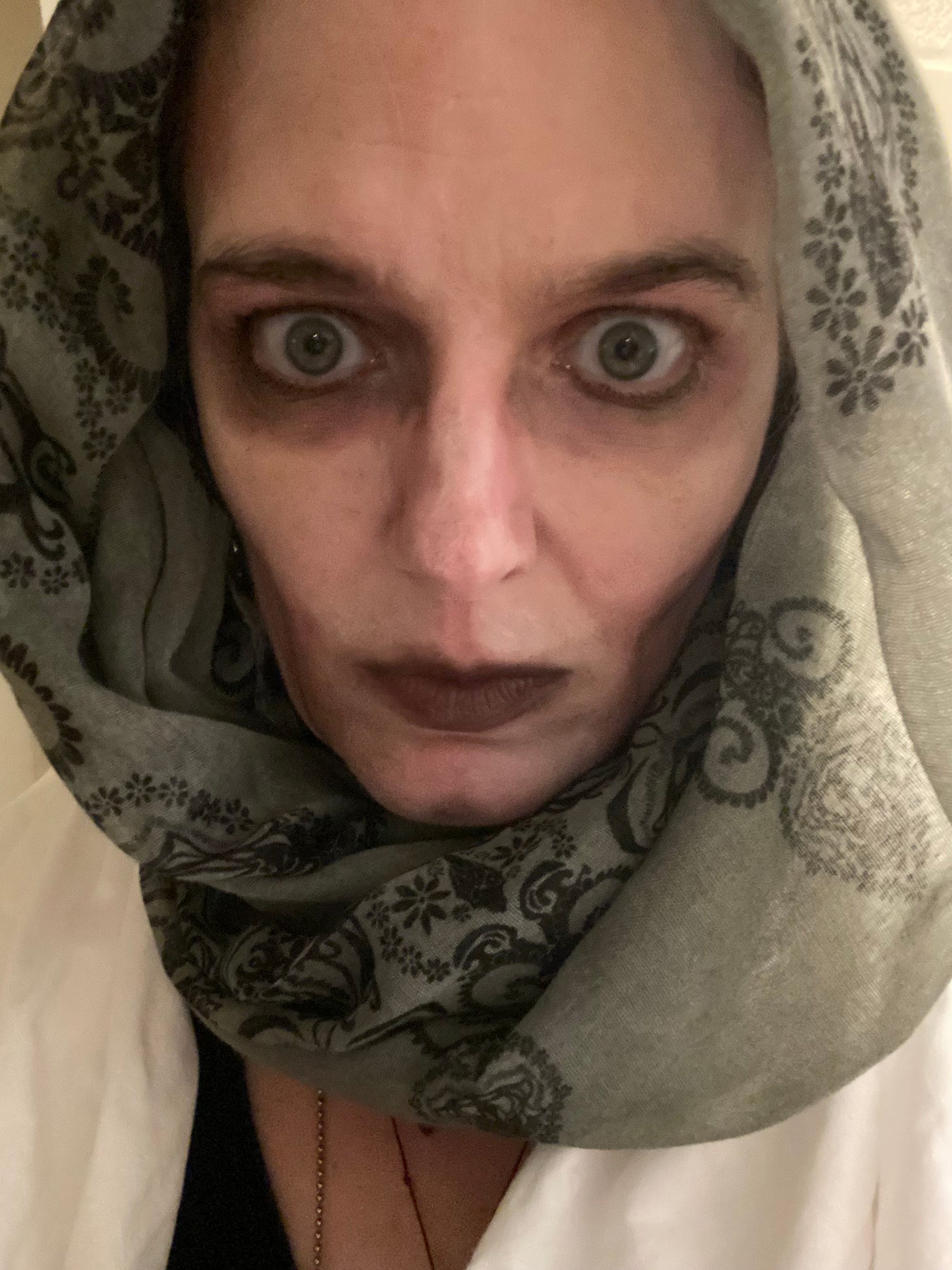 My face, painted with white, purple and black makeup so that I look sort of dead and spooky. My eyes are wide and I have a gray patterned scarf wrapped around my head like a hood. Boo.