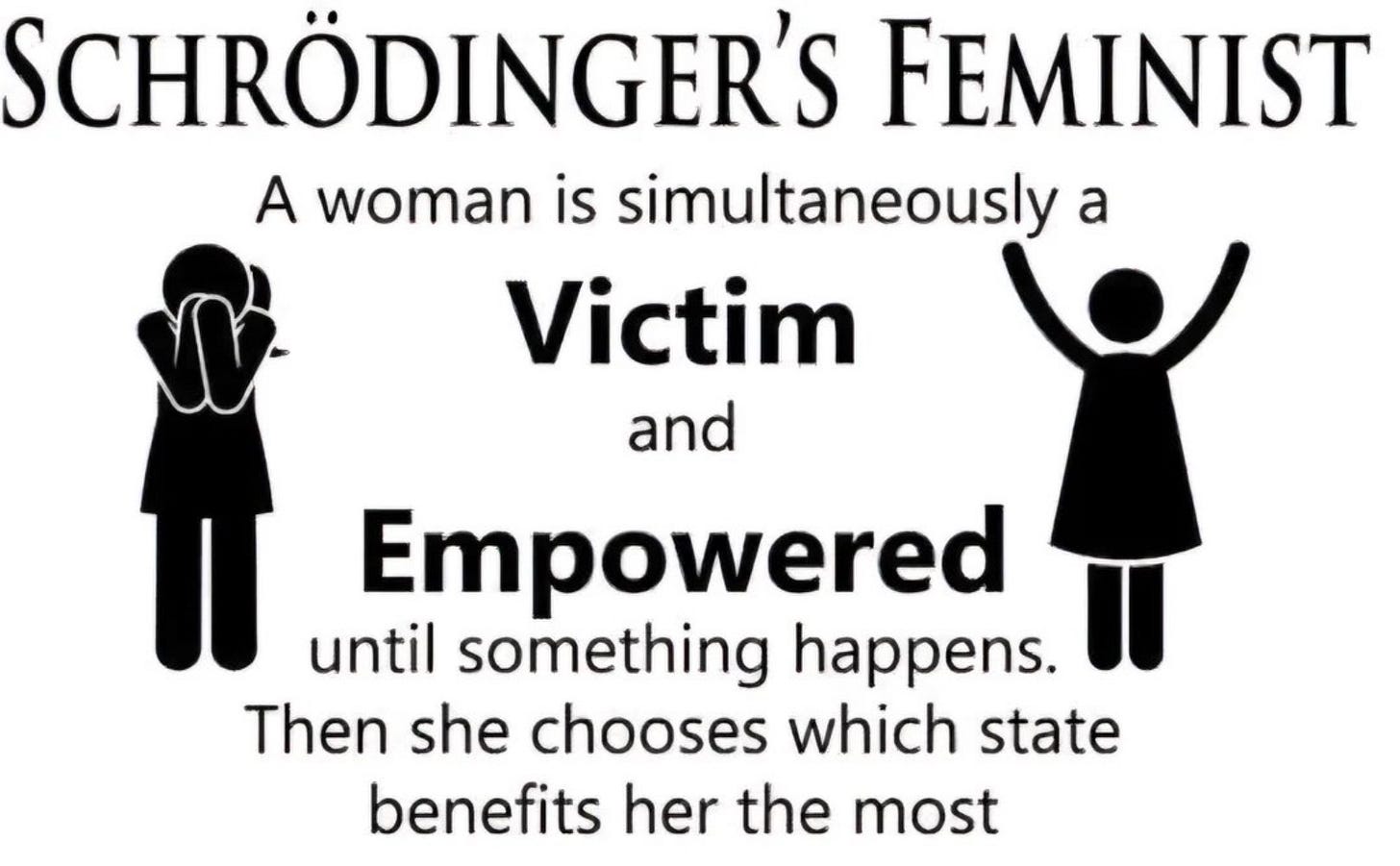 Schrödinger's Feminist: Victim or Empowered?