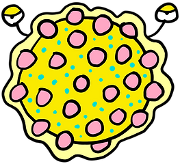 HepatitC.png