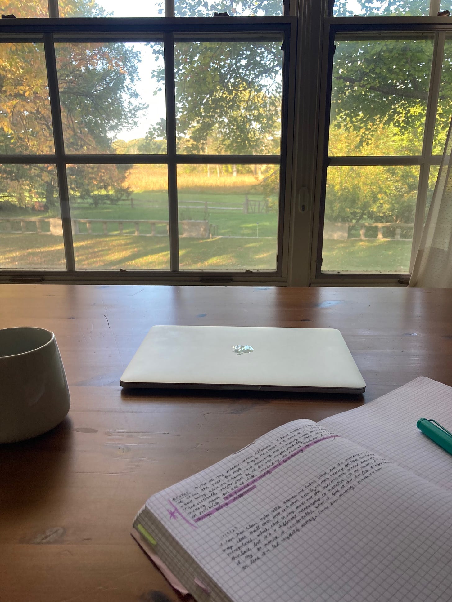 A laptop and notebook on a desk behind a window with a view of autumn trees