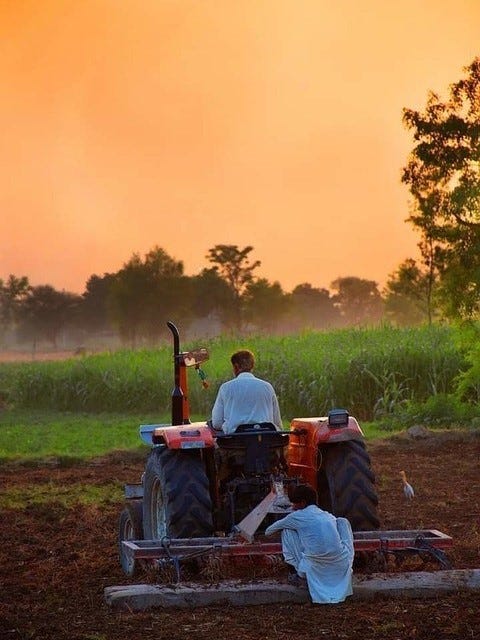 Two people operate a tractor, plowing a field.  The tractor and people are facing away from the photo viewer, driving toward an orange sunset on the horizon.