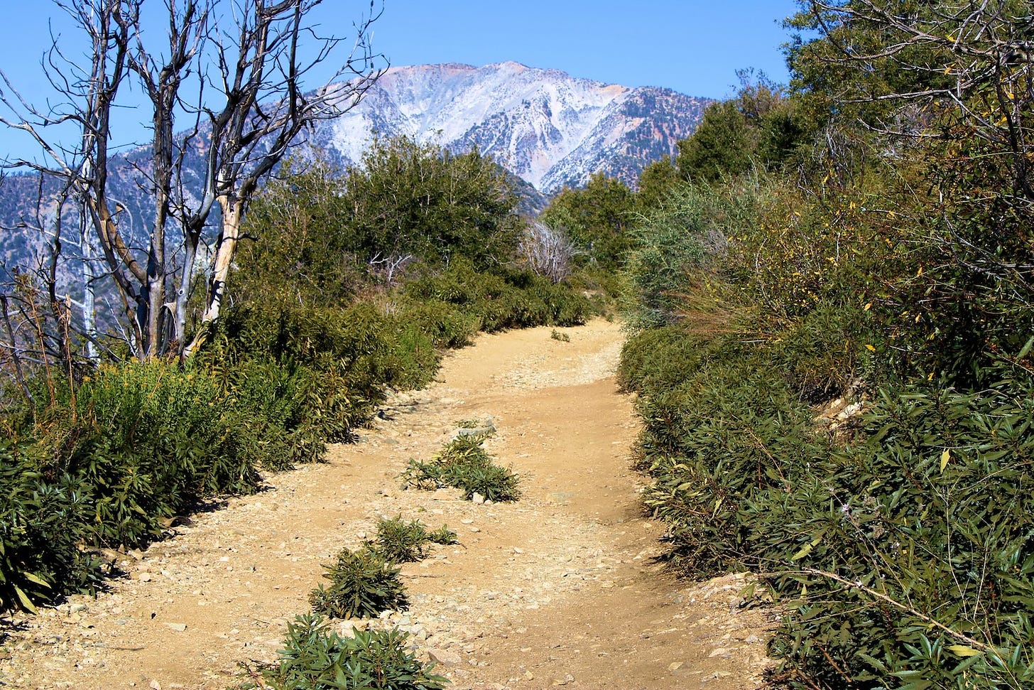 Image: trail in San Gabriel Mountains; photojohn830 / shutterstock.com