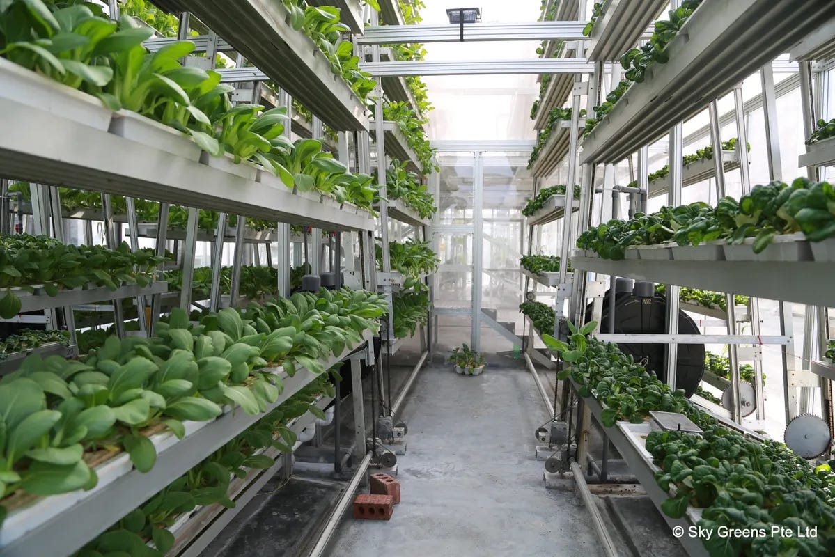 Sustainable Vertical Farming - GROZINE