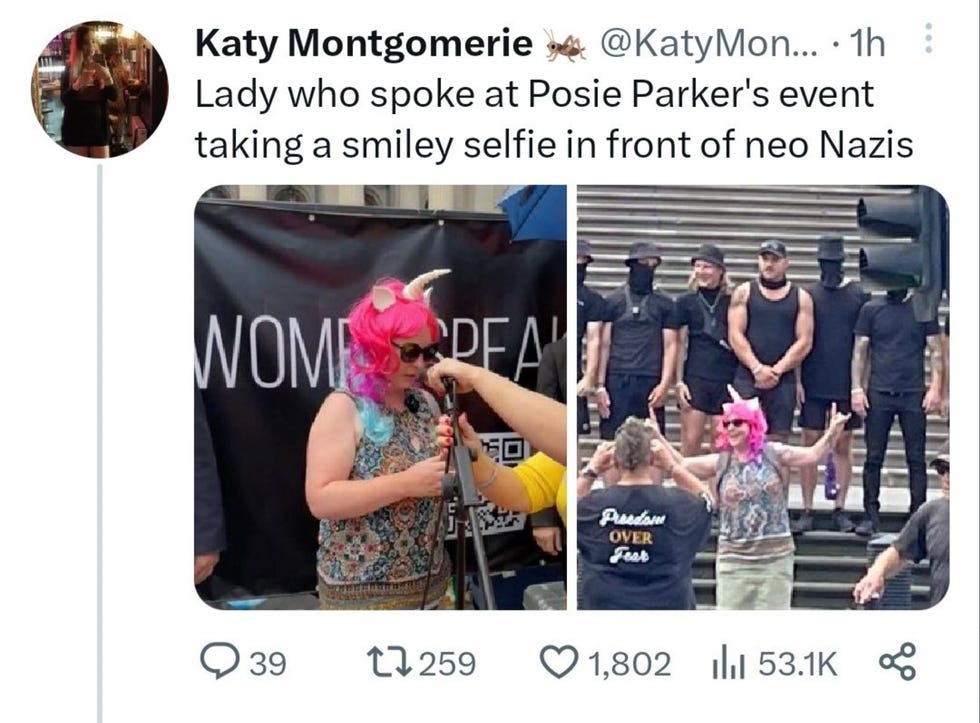 Pic one: Lady with pink hair and unicorn horn getting ready to speak. Pic 2 same lady standing in front of neo-nazis giving metal horns.