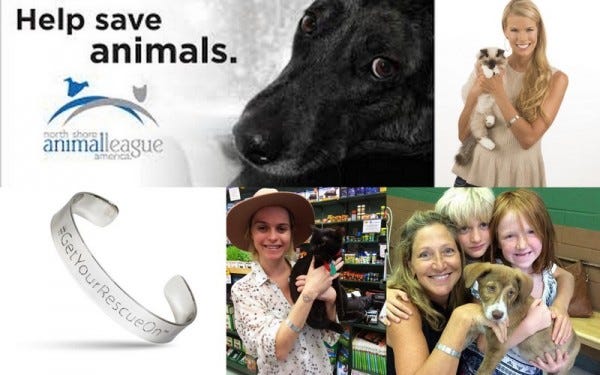 north shore animal league american wants you to get your rescue on images 2015