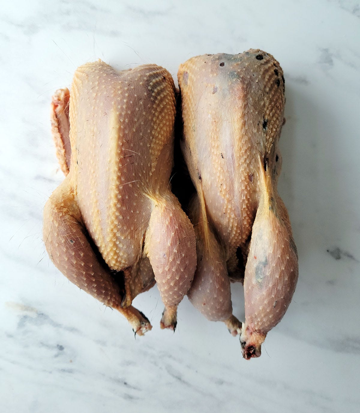 Two plucked pheasants.