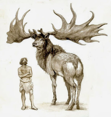 Megaloceros-Giganteus-antigo-alce-extinguido