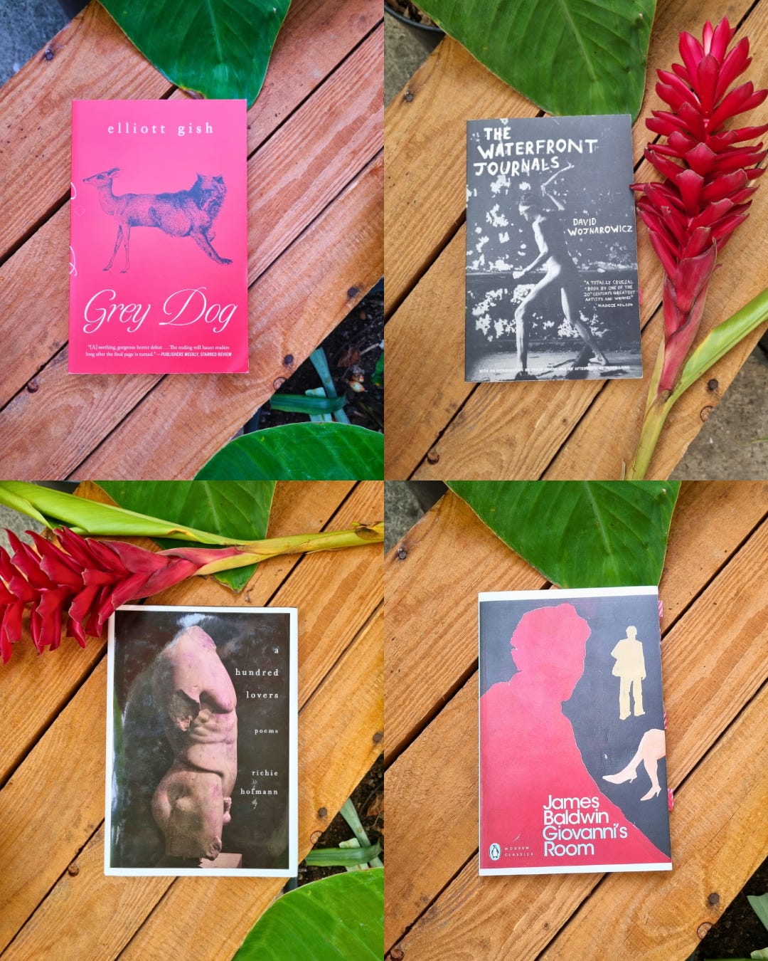 A four-image grid photograph of books and foliage.