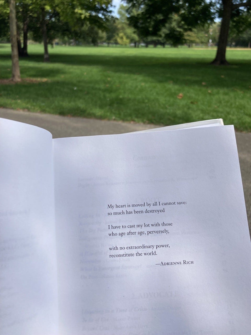 Sitting in a park with a book open to a page with an Adrienne Rich poem: “My heart is moved by all I cannot save: So much has been destroyed/I have to cast my lot with those who age after age, perversely/with no extraordinary power, reconstitute the world.”
