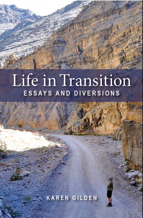 “Life In Transition: Essays And Diversions”