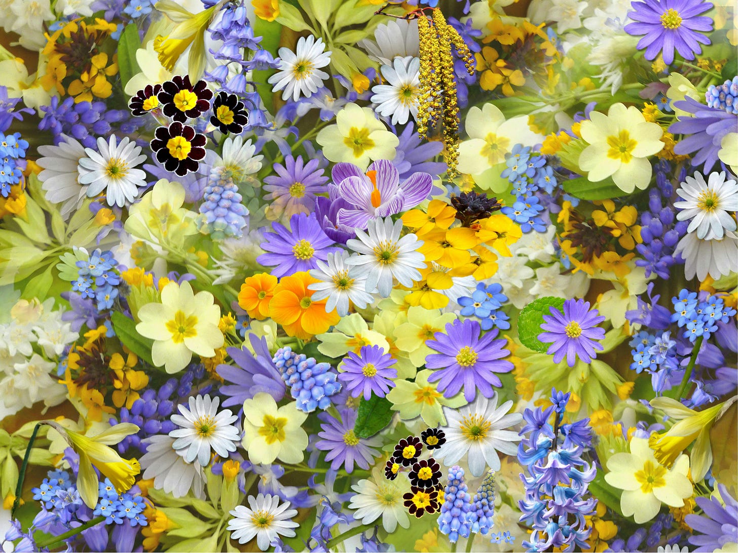 100,000+ Best Flower Images · 100% Free Download · Pexels Stock Photos