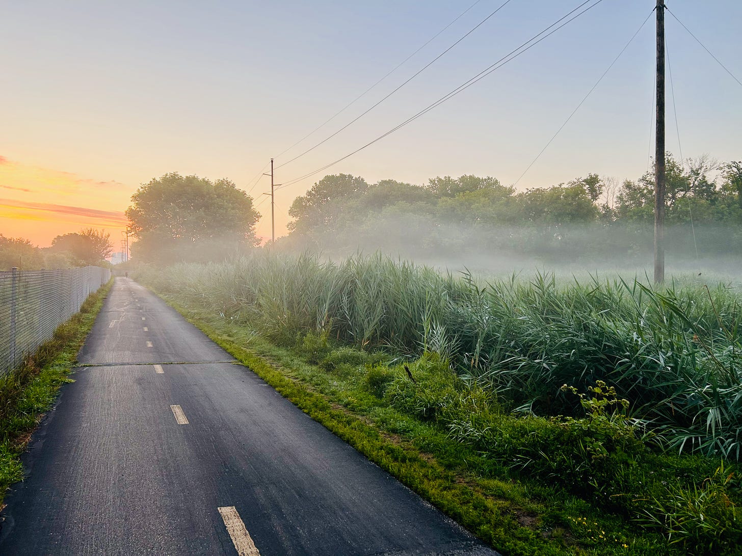 photograph of a sunrise with mist rising from the plants along side a bike trail