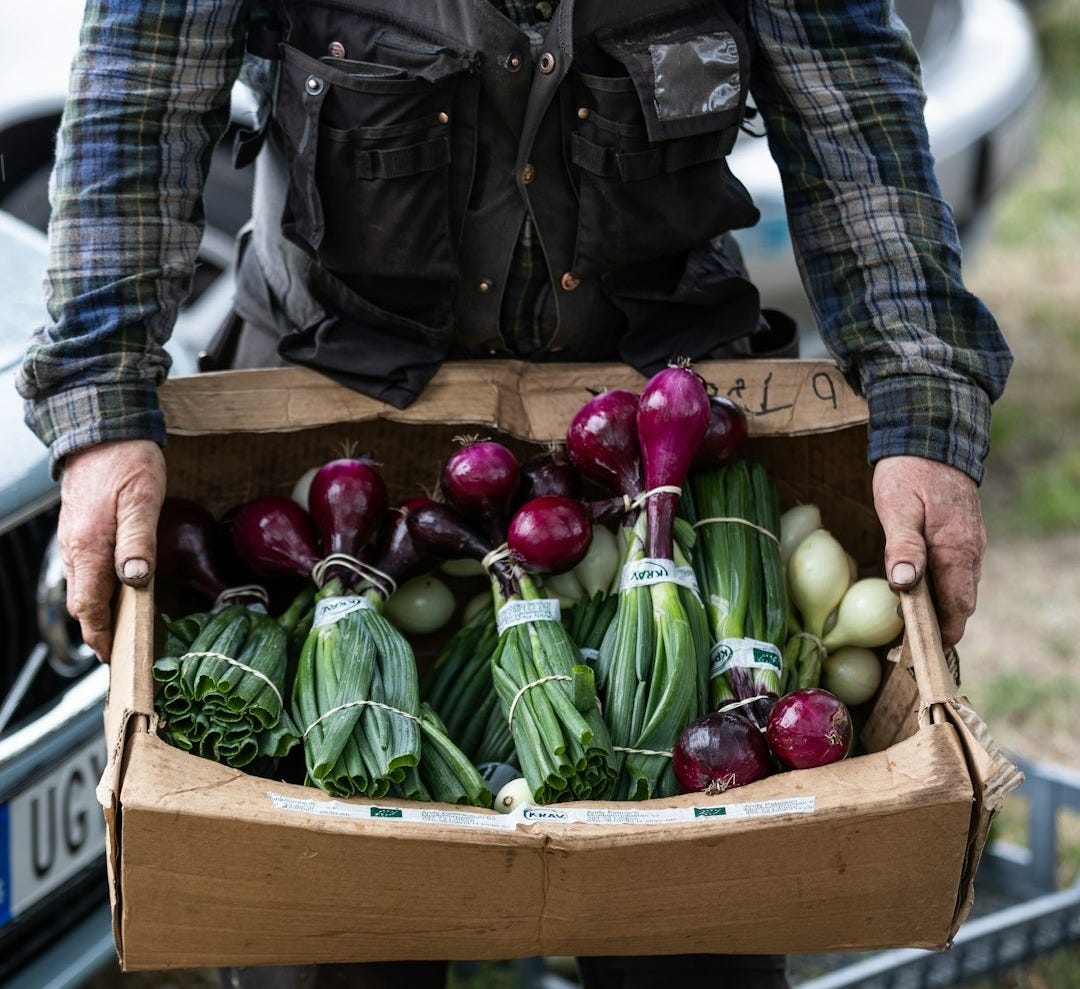 a man holding a cardboard box full of vegetables a man holding a cardboard box full of vegetables