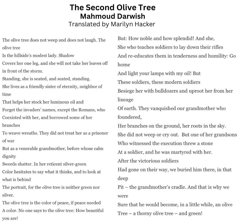 The Second Olive Tree  By Mahmoud Darwish  Translated by Marilyn Hacker  The olive tree does not weep and does not laugh. The olive tree  Is the hillside’s modest lady. Shadow  Covers her single leg, and she will not take her leaves off in front of the storm.  Standing, she is seated, and seated, standing.  She lives as a friendly sister of eternity, neighbor of time  That helps her stock her luminous oil and  Forget the invaders’ names, except the Romans, who  Coexisted with her, and borrowed some of her branches  To weave wreaths. They did not treat her as a prisoner of war  But as a venerable grandmother, before whose calm dignity  Swords shatter. In her reticent silver-green  Color hesitates to say what it thinks, and to look at what is behind  The portrait, for the olive tree is neither green nor silver.  The olive tree is the color of peace, if peace needed  A color. No one says to the olive tree: How beautiful you are!  But: How noble and how splendid! And she,  She who teaches soldiers to lay down their rifles  And re-educates them in tenderness and humility: Go home  And light your lamps with my oil! But  These soldiers, these modern soldiers  Besiege her with bulldozers and uproot her from her lineage  Of earth. They vanquished our grandmother who foundered,  Her branches on the ground, her roots in the sky.  She did not weep or cry out.  But one of her grandsons  Who witnessed the execution threw a stone  At a soldier, and he was martyred with her.  After the victorious soldiers  Had gone on their way, we buried him there, in that deep   Pit – the grandmother’s cradle. And that is why we were  Sure that he would become, in a little while, an olive  Tree – a thorny olive tree – and green! 