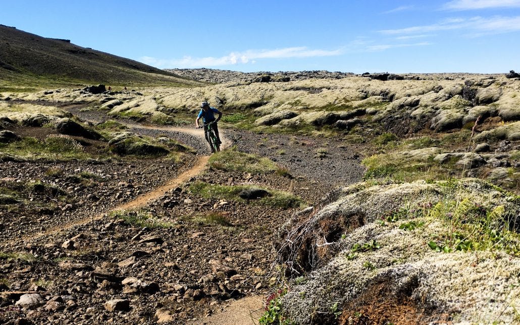 Rip-roarin' fun on the Edge Trail.