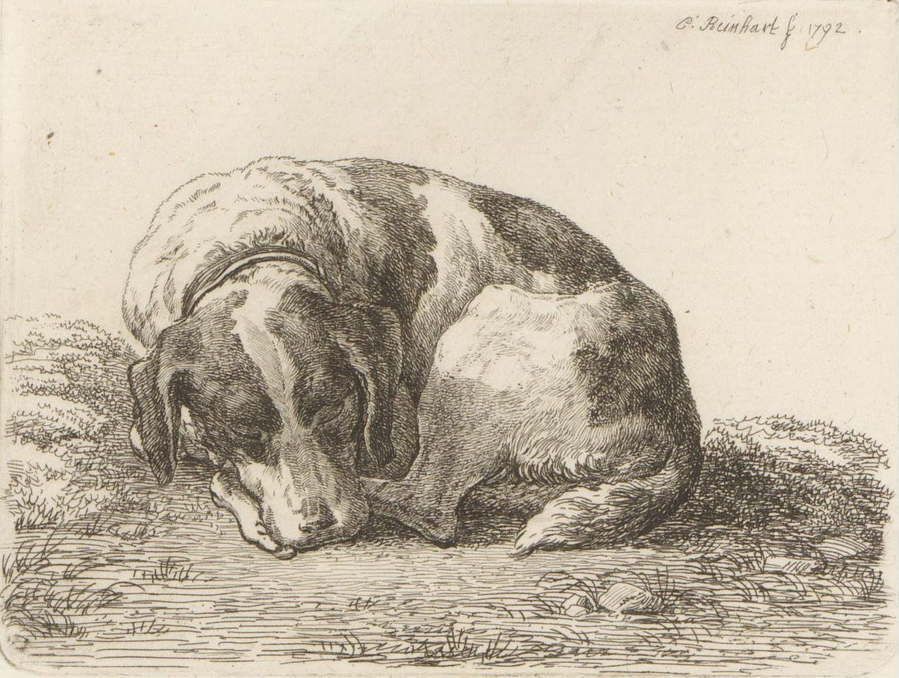 An etching of a hound dog curled up asleep