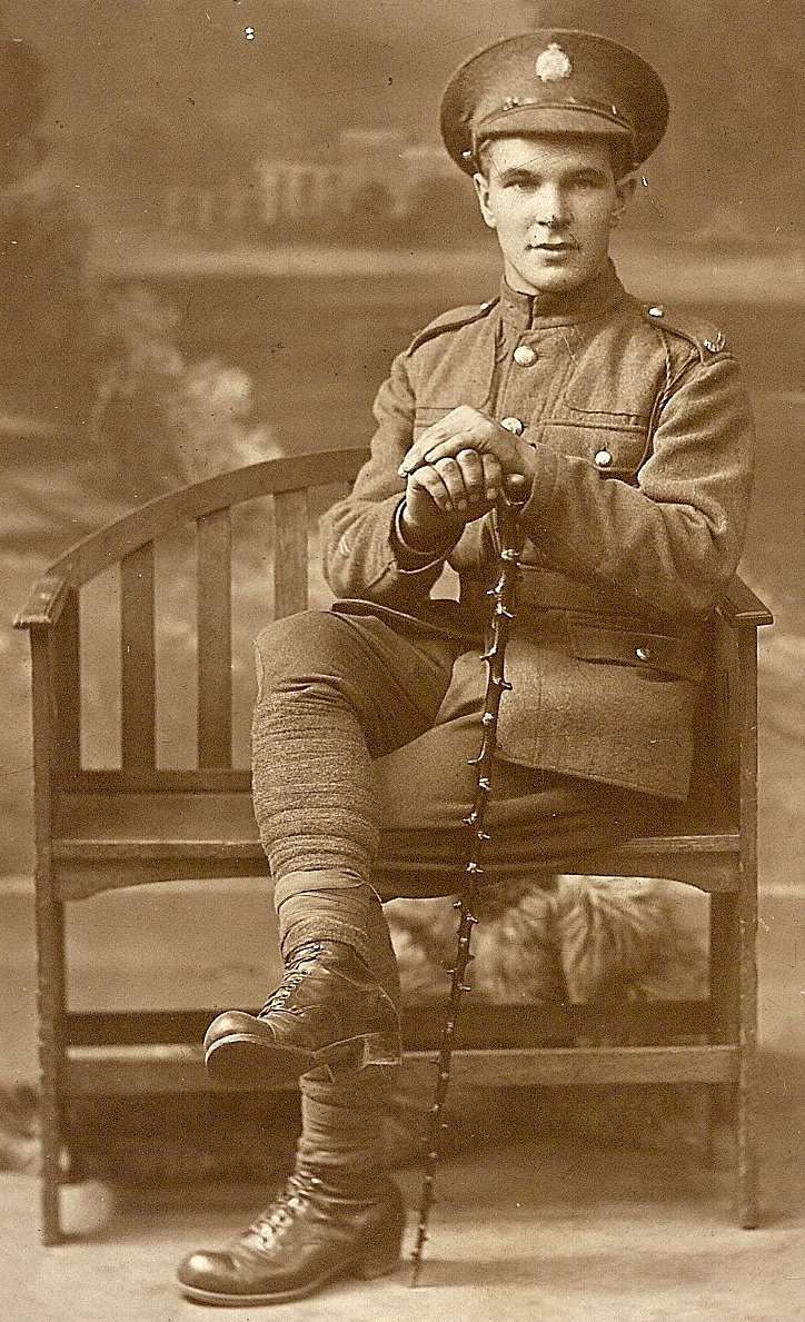 Irish-Canadian World War One Soldier, Public Domain Photograph