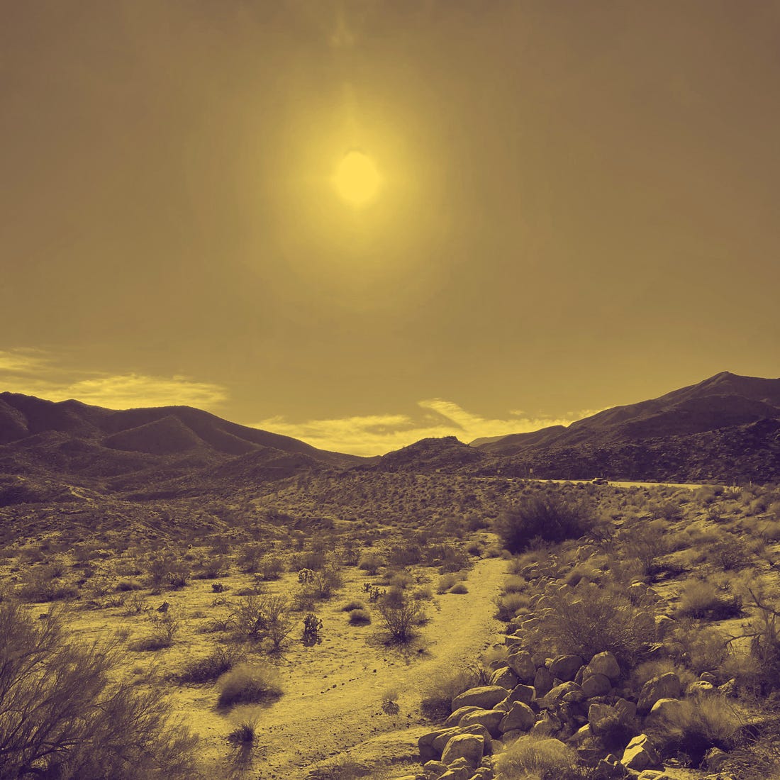 Desert Sun, copyrighted by Mark Tulin