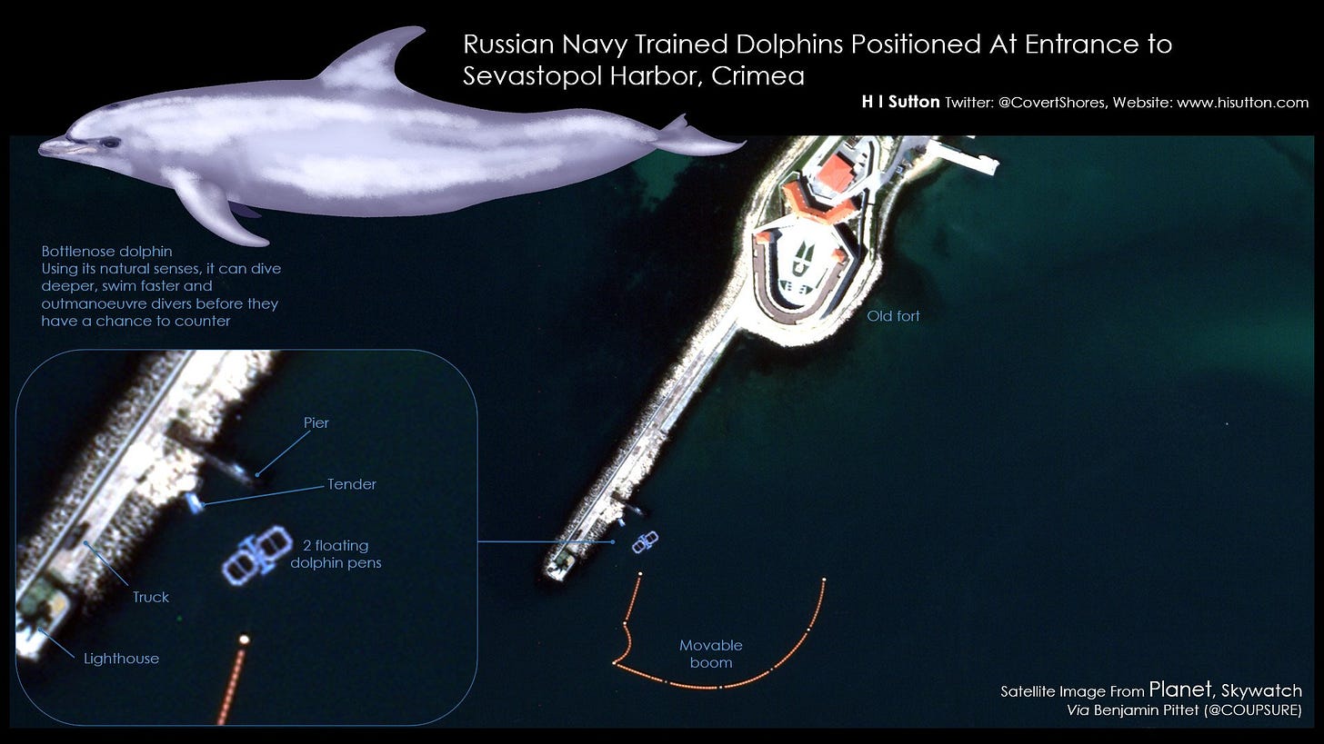 Trained Russian Navy Dolphins are Protecting Black Sea Naval Base,  Satellite Photos Show - USNI News