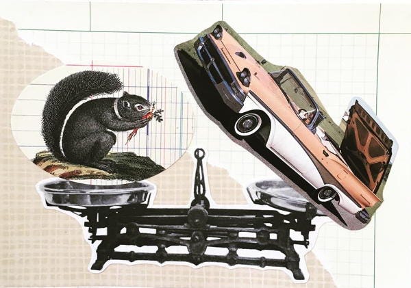 Collage of an old-fashioned scale with a picture of a squirrel on one side of it and a cutout of a large old classic car on the other side. The scale is perfectly balanced, and the entire collage is set against a collection of grid paper of different sizes.