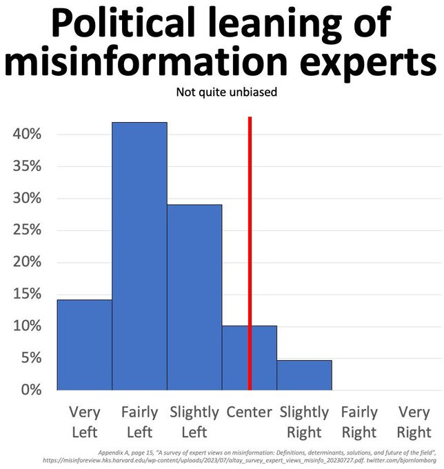 Misinformation Experts