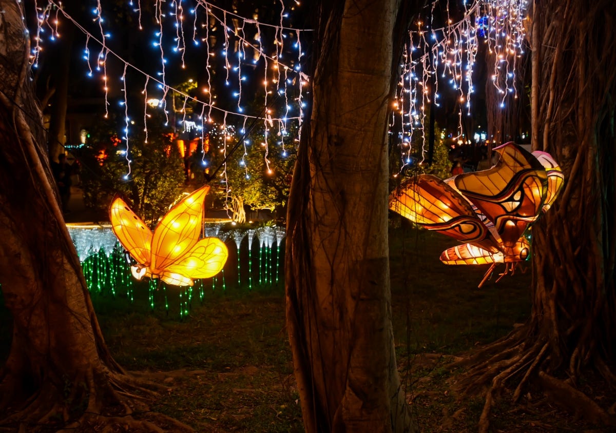 Two large moth-shaped lanterns fly between the trees at the 2023 Taiwan Lantern Festival 