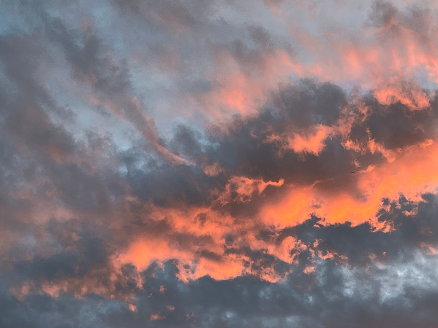 Fragmenting cumulus cloud is lit from below after sunset: salmon pink on grey against a pale blue sky.