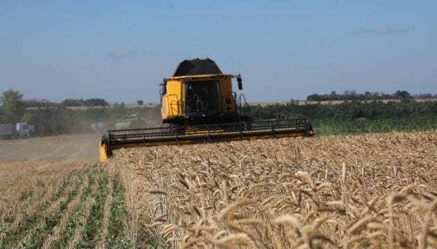 Grain crops harvested from 85% of areas in Donetsk region – regional administration