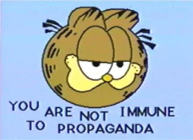 Image is the meme with the face of the cartoon Garfield the cat and the caption reads You are not immune to propaganda.