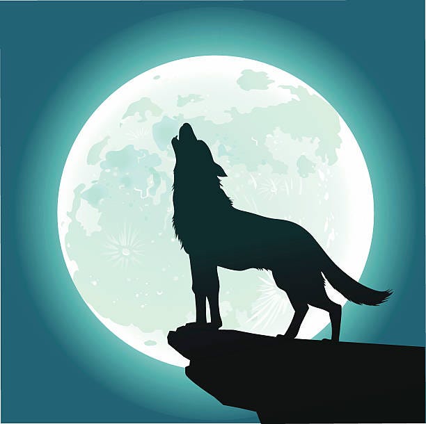 Lone Wolf Howling At The Moon Stock Illustration - Download Image Now -  Wolf, Howling, In Silhouette - iStock
