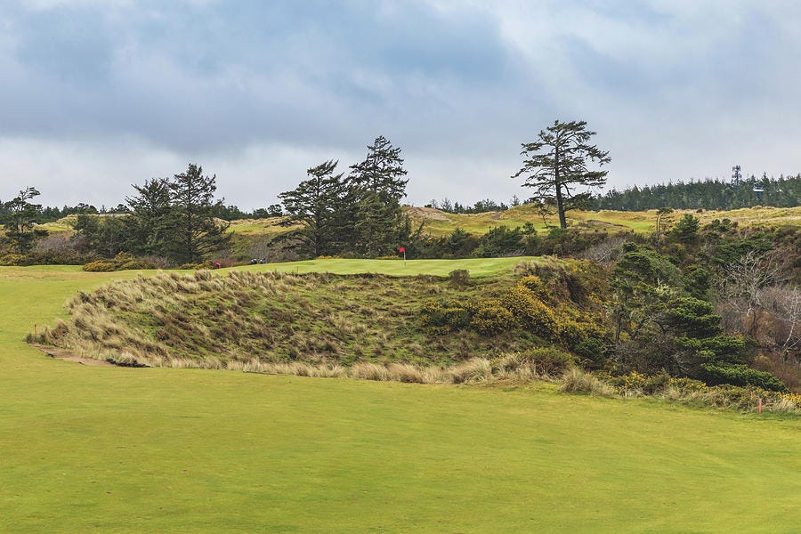 17 at Bandon Dunes Golf Course Photograph by Mike Centioli - Pixels