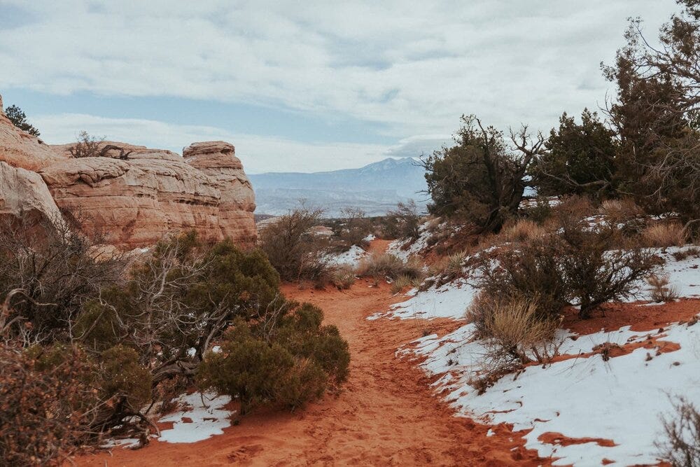 Broken Arch Trail with the La Sal Mountains in the distance.